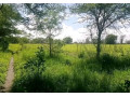10-acre-for-sale-in-mikango-barracks-small-1