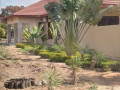 3-bedroom-house-for-rent-in-ngwerere-small-4