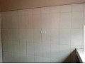 1-bedroom-flat-for-rent-in-new-kasama-small-5