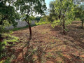 plot-for-sale-in-new-kasama-small-2