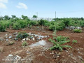 plot-for-sale-in-new-kasama-small-6