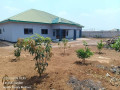 5-bedroom-house-for-sale-in-new-kasama-small-2