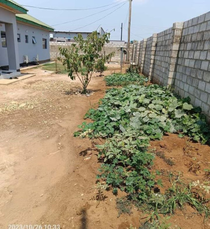 5-bedroom-house-for-sale-in-new-kasama-big-5