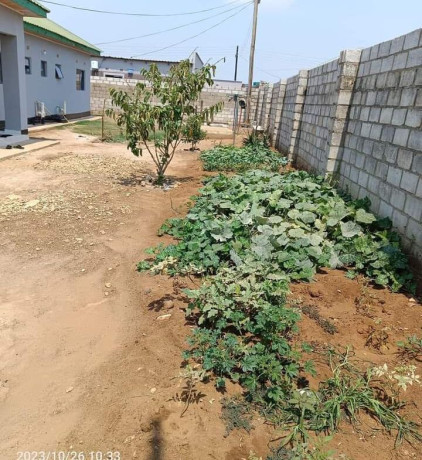 5-bedroom-house-for-sale-in-new-kasama-big-6