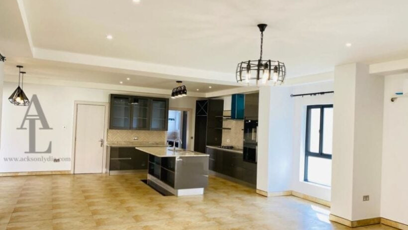 3-bedroom-apartment-for-rent-in-jesmondine-big-4