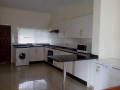 3-bedroom-semi-detached-apartment-for-rent-in-kabulonga-small-4