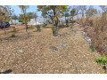 4-bedroom-house-for-sale-in-new-kasama-small-2