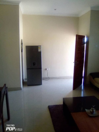 2-bedroom-furnished-flat-for-rent-in-roma-park-big-8
