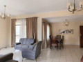 modern-3-bedroom-apartment-for-rent-in-longacres-small-5