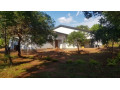 5-bedroom-house-for-rent-in-new-kasama-small-2