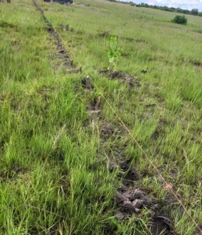 9-acres-farm-for-sale-in-silverest-big-7
