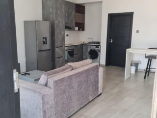 1-bedroom-apartment-for-rent-in-longacres