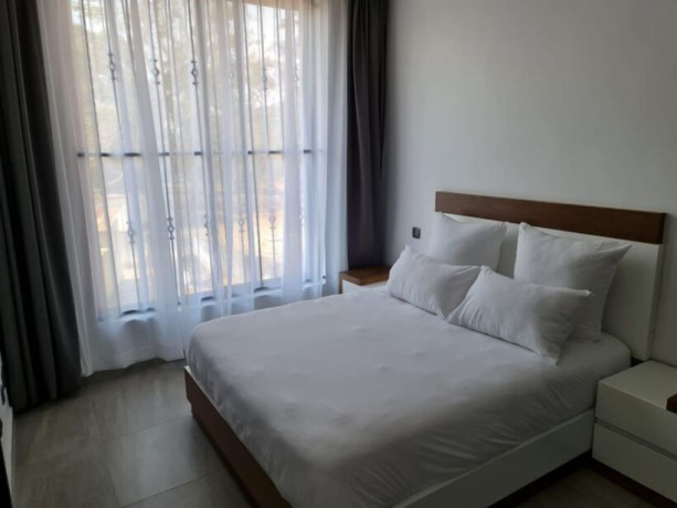 1-bedroom-apartment-for-rent-in-longacres-big-3