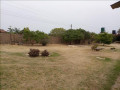 5-bedroom-house-for-sale-in-ibex-hill-small-1