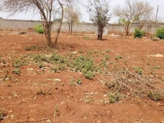 Plot For Sale in New Kasama