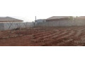 plot-for-sale-in-new-kasama-small-3