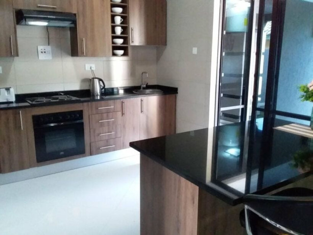 3-bedroom-fully-furnished-apartment-for-rent-in-avondale-big-3