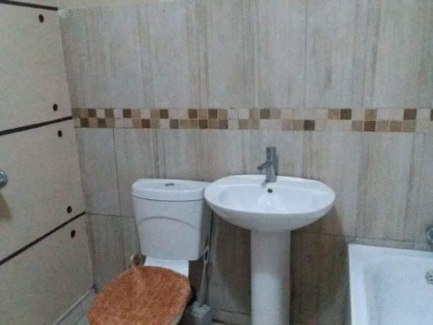 3-bedroom-fully-furnished-apartment-for-rent-in-avondale-big-6