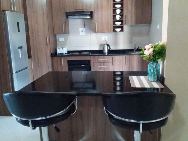 3-bedroom-fully-furnished-apartment-for-rent-in-avondale-big-2