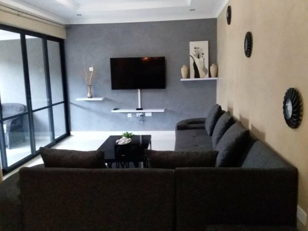 3-bedroom-fully-furnished-apartment-for-rent-in-avondale-big-4