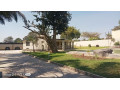 4-bedroom-standalone-house-for-rent-in-olympia-small-0