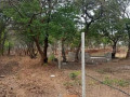 23-acres-farm-land-for-sale-in-kafue-mapape-small-4