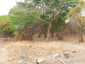 23-acres-farm-land-for-sale-in-kafue-mapape-small-7