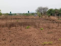 23-acres-farm-land-for-sale-in-kafue-mapape-small-5