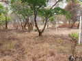 23-acres-farm-land-for-sale-in-kafue-mapape-small-2