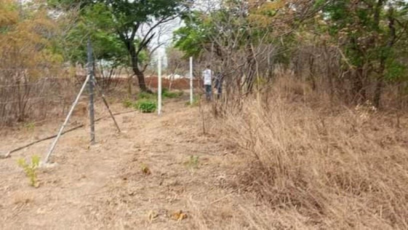 23-acres-farm-land-for-sale-in-kafue-mapape-big-0