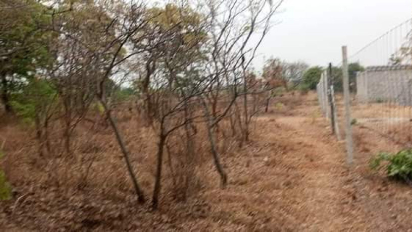 23-acres-farm-land-for-sale-in-kafue-mapape-big-1