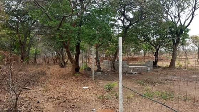 23-acres-farm-land-for-sale-in-kafue-mapape-big-4