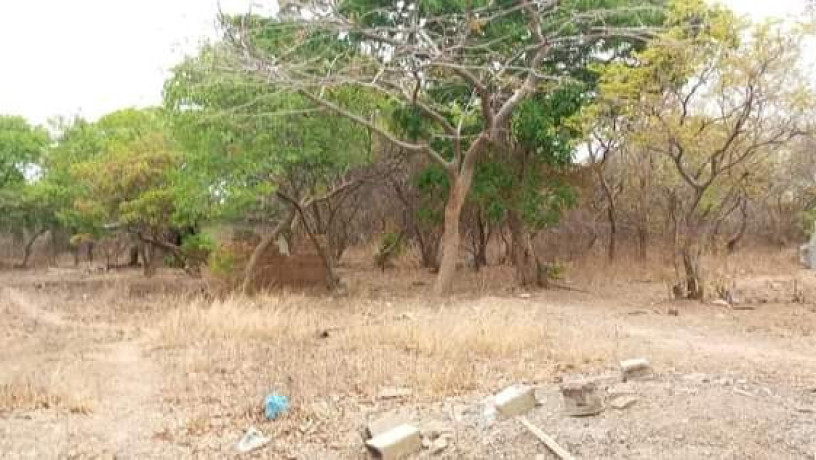 23-acres-farm-land-for-sale-in-kafue-mapape-big-7