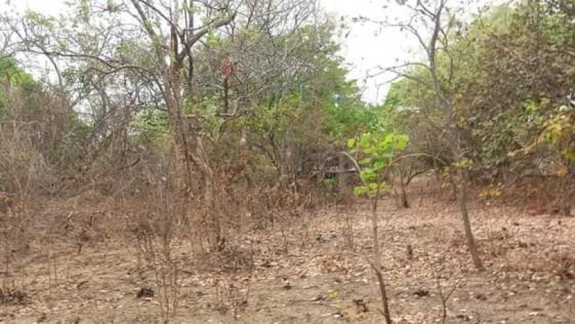 23-acres-farm-land-for-sale-in-kafue-mapape-big-3