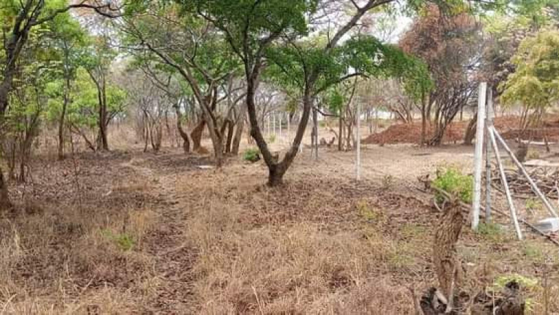 23-acres-farm-land-for-sale-in-kafue-mapape-big-2