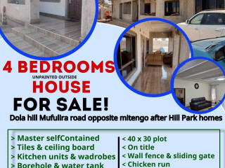 4-bedrooms-morden-house-for-sale-in-dola-hill-mitengo