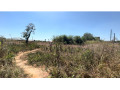 plot-for-sale-in-dola-hill-50x40-small-0