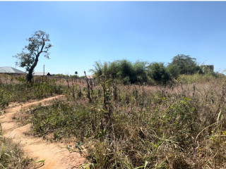 plot-for-sale-in-dola-hill-50x40