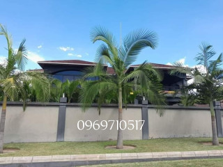 2x3-bedrooms-duplex-house-in-olympia-extension