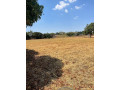 lilayi-property-on-a-28-acres-land-small-0