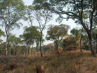 10-acres-land-for-sale