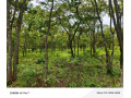 leopards-hilloff-chifwematwo-2-acres-land-for-saleper-acre-k15m-small-1