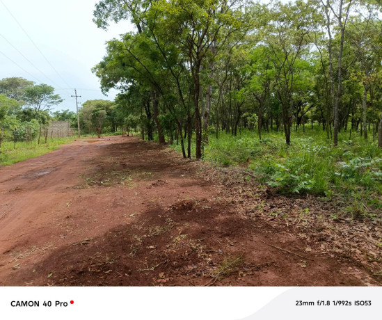 leopards-hilloff-chifwematwo-2-acres-land-for-saleper-acre-k15m-big-4