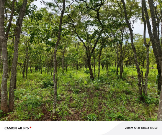 leopards-hilloff-chifwematwo-2-acres-land-for-saleper-acre-k15m-big-1
