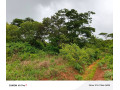 leopard-hill-roadcorner-plot-subdivision1-acre-parcel-of-land-for-sale100000-small-2