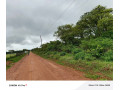 leopard-hill-roadcorner-plot-subdivision1-acre-parcel-of-land-for-sale100000-small-1