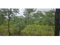 leopard-hill-roadcorner-plot-subdivision1-acre-parcel-of-land-for-sale100000-small-0