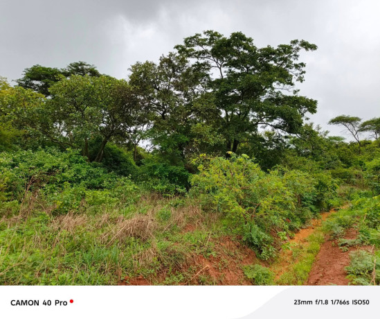 leopard-hill-roadcorner-plot-subdivision1-acre-parcel-of-land-for-sale100000-big-2