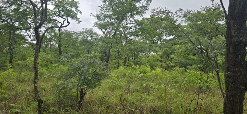 leopard-hill-roadcorner-plot-subdivision1-acre-parcel-of-land-for-sale100000-big-0