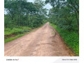 leopards-hill-four-4-acre-landsubdivision-per-acresale60000-small-4